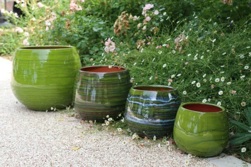 Collection Forêt